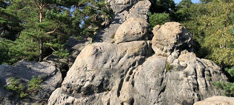 Tecklenburger Bergpfad: Nominiert für Schönster Weg 2026