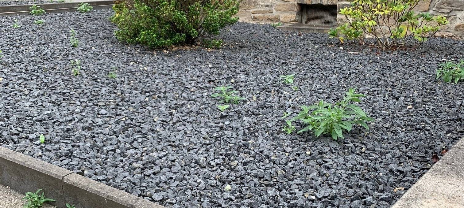 Mehr Grün für Ochtrup