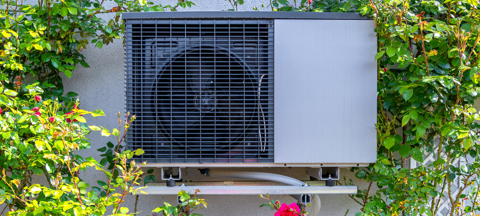 Eine Wärmepumpe an einer Hauswand montiert. Drumherum teils blühende Rosen.